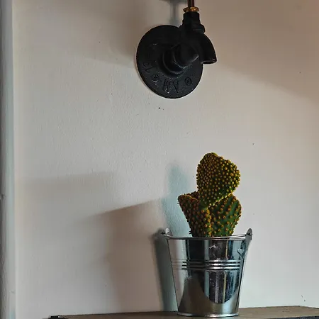 Quirky Apartment
